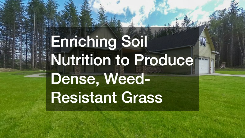 Enriching Soil Nutrition to Produce Dense, Weed-Resistant Grass