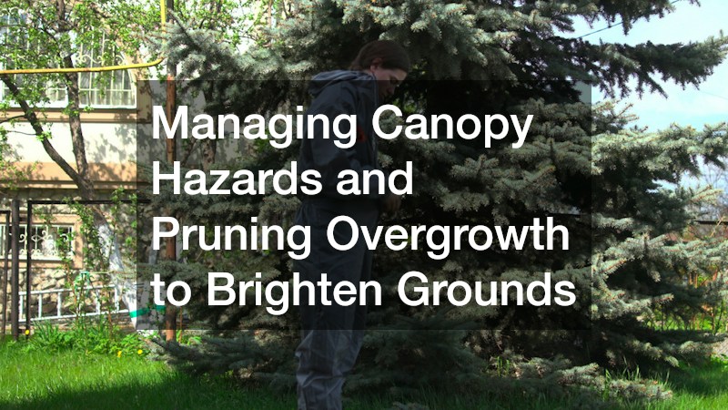 Managing Canopy Hazards and Pruning Overgrowth to Brighten Grounds