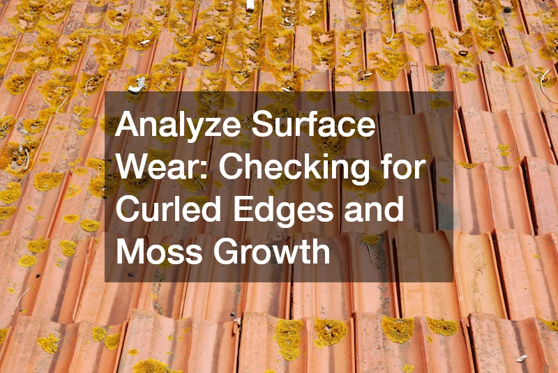 Analyze Surface Wear: Checking for Curled Edges and Moss Growth