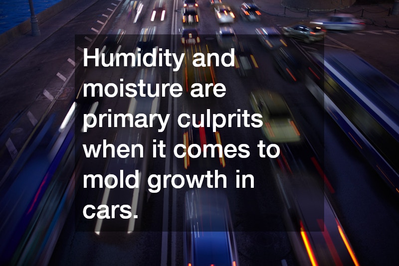 Humidity and moisture are primary culprits when it comes to mold growth in cars.