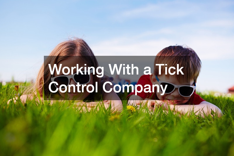 Working With a Tick Control Company