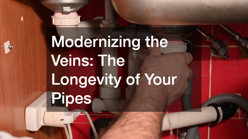 Modernizing the Veins: The Longevity of Your Pipes