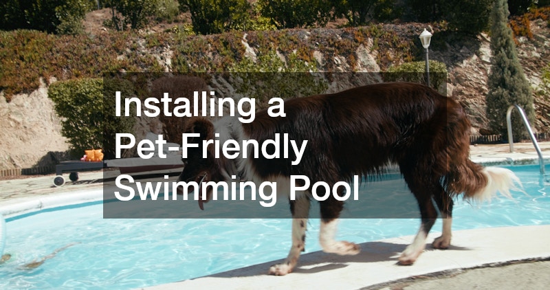 Installing a Pet-Friendly Swimming Pool