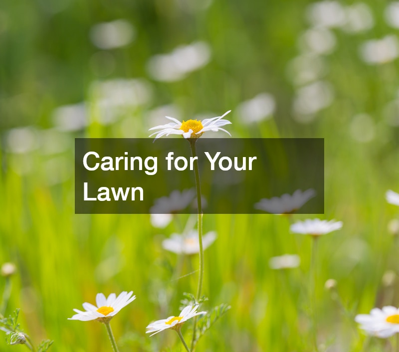 Caring for Your Lawn