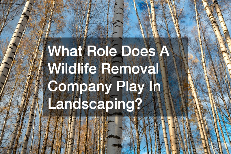 What Role Does A Wildlife Removal Company Play In Landscaping?
