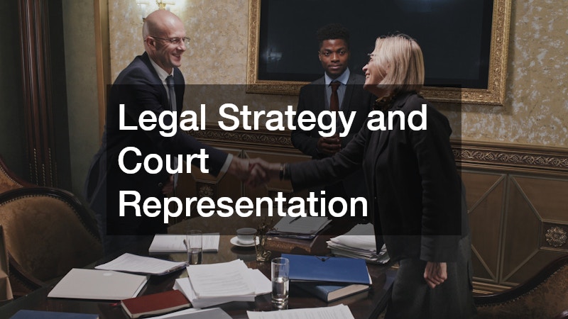 Legal Strategy and Court Representation