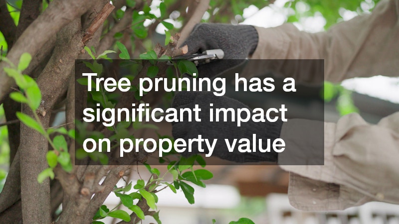 Tree pruning has a significant impact on property value