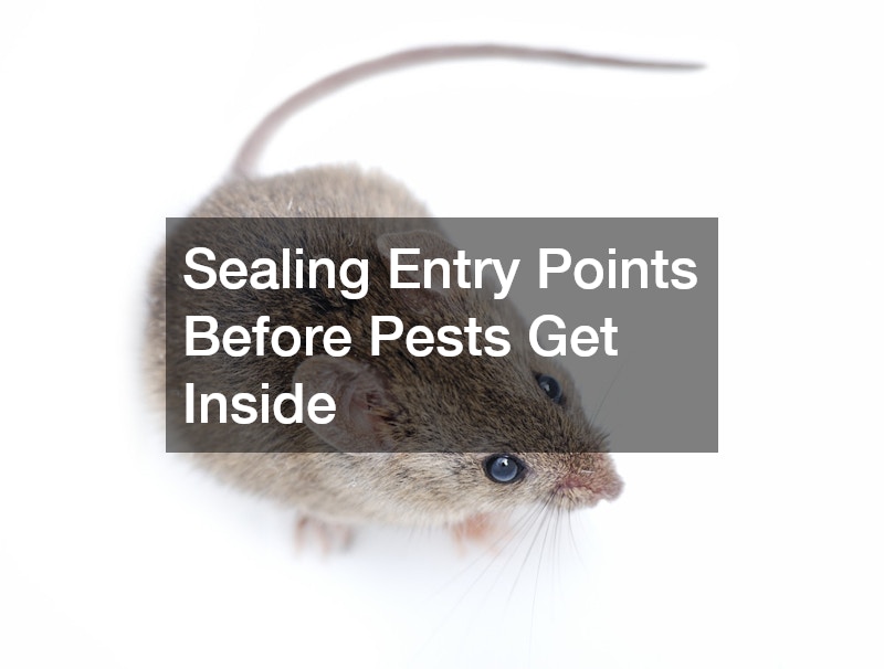 Sealing Entry Points Before Pests Get Inside