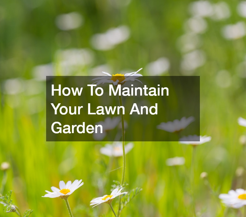 How To Maintain Your Lawn And Garden