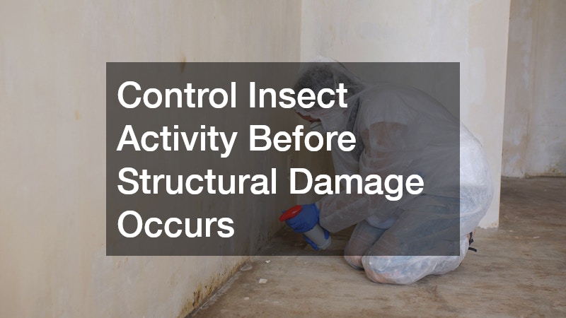 Control Insect Activity Before Structural Damage Occurs