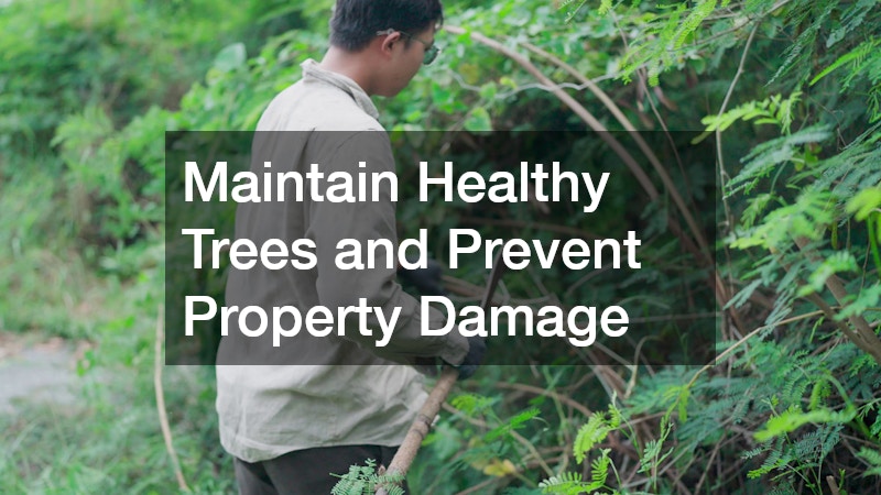 Maintain Healthy Trees and Prevent Property Damage