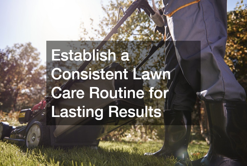 Establish a Consistent Lawn Care Routine for Lasting Results