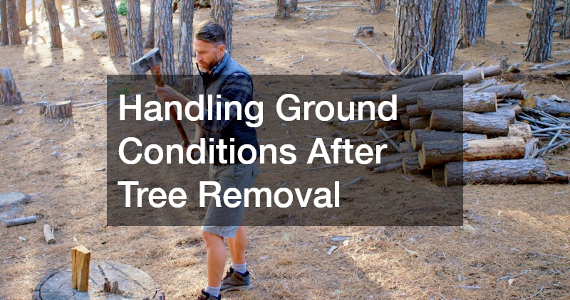 Handling Ground Conditions After Tree Removal