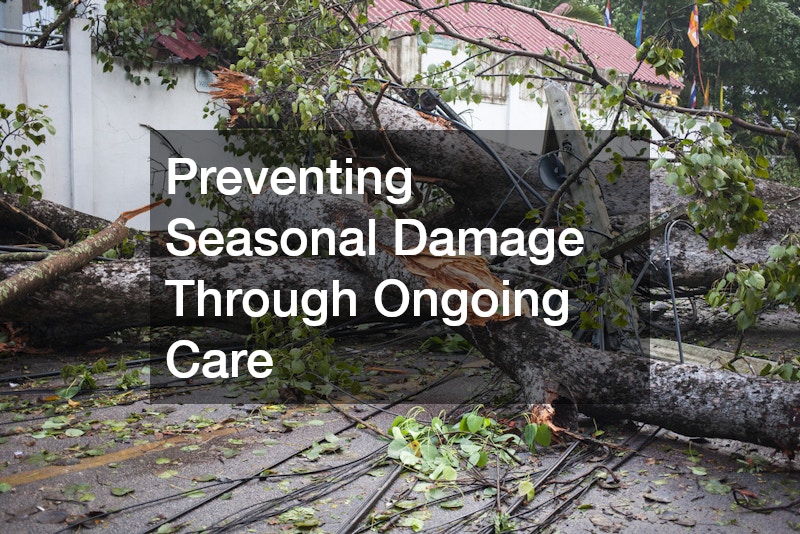 Preventing Seasonal Damage Through Ongoing Care