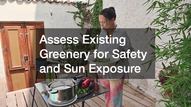 Assess Existing Greenery for Safety and Sun Exposure