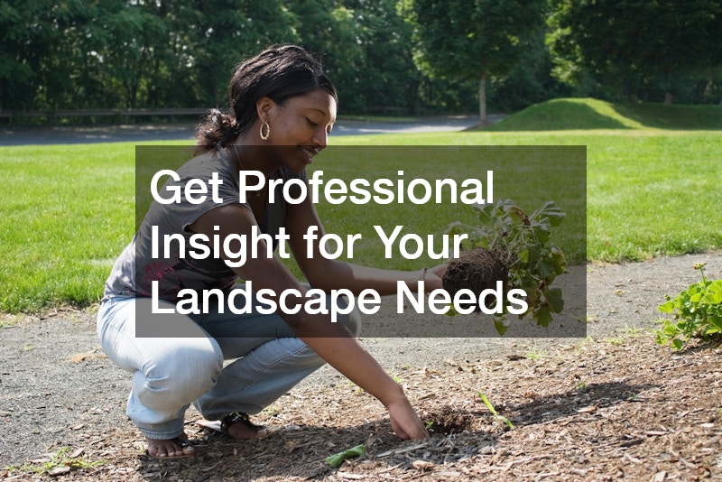 Get Professional Insight for Your Landscape Needs