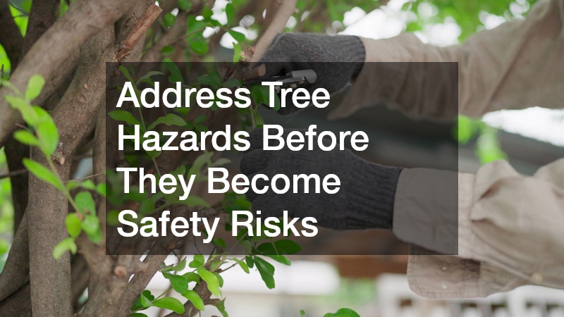 Address Tree Hazards Before They Become Safety Risks