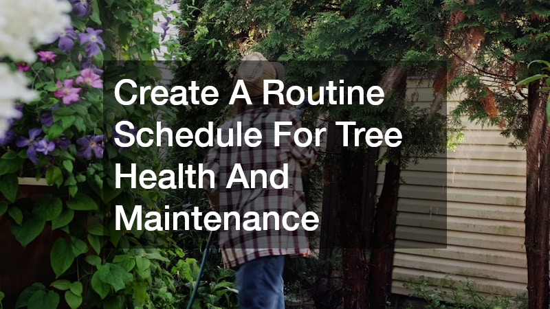 Create A Routine Schedule For Tree Health And Maintenance