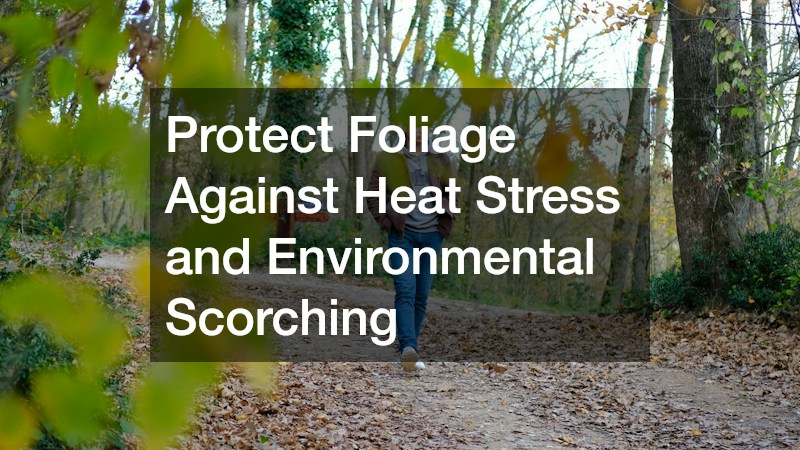 Protect Foliage Against Heat Stress and Environmental Scorching