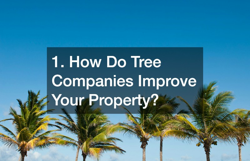 1. How Do Tree Companies Improve Your Property?