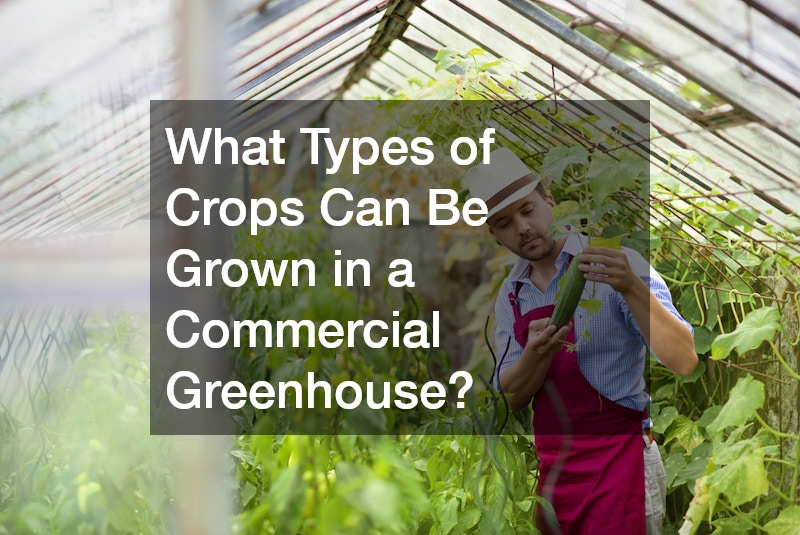 What Types of Crops Can Be Grown in a Commercial Greenhouse?
