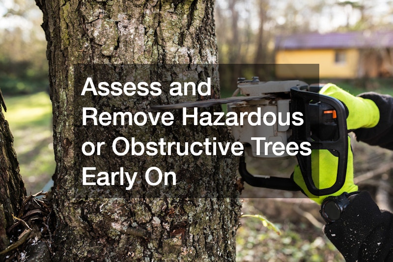 Assess and Remove Hazardous or Obstructive Trees Early On