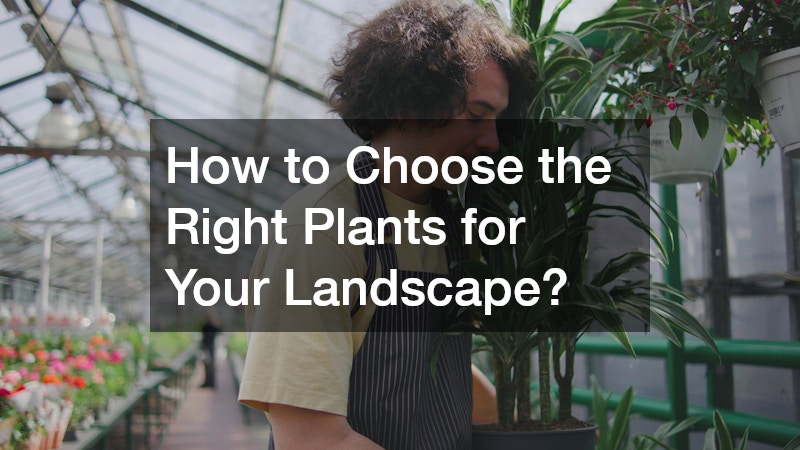 How to Choose the Right Plants for Your Landscape?