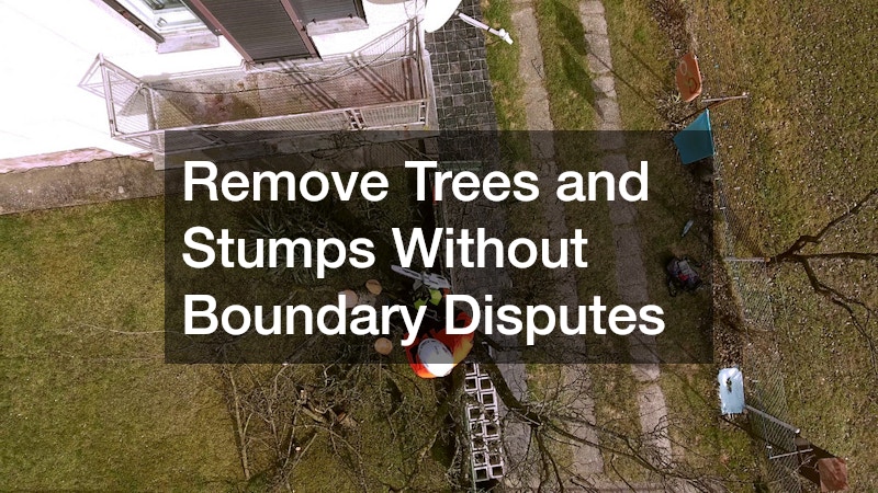 Remove Trees and Stumps Without Boundary Disputes