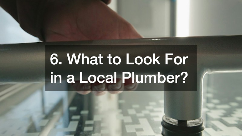 6. What to Look For in a Local Plumber?
