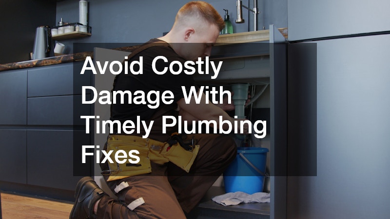 Avoid Costly Damage With Timely Plumbing Fixes
