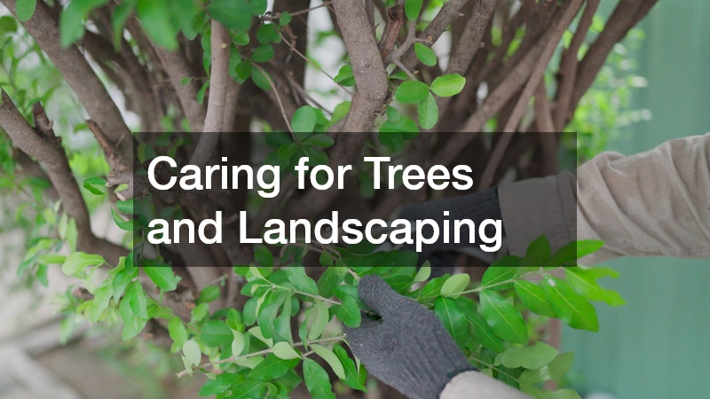 Caring for Trees and Landscaping