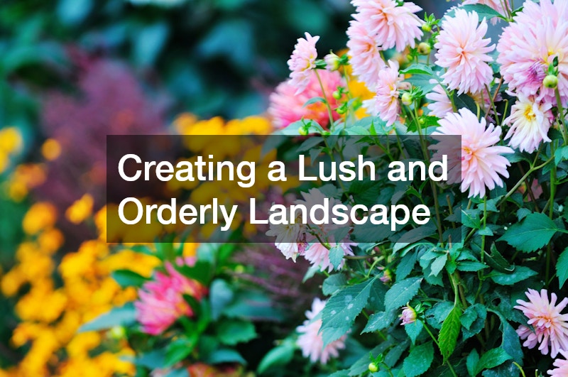 Creating a Lush and Orderly Landscape