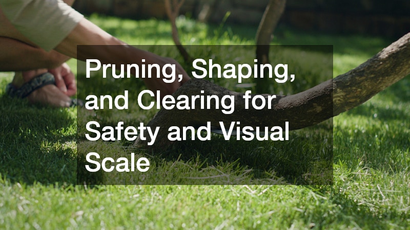 Pruning, Shaping, and Clearing for Safety and Visual Scale