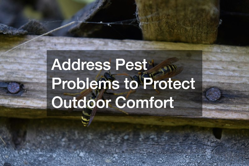 Address Pest Problems to Protect Outdoor Comfort