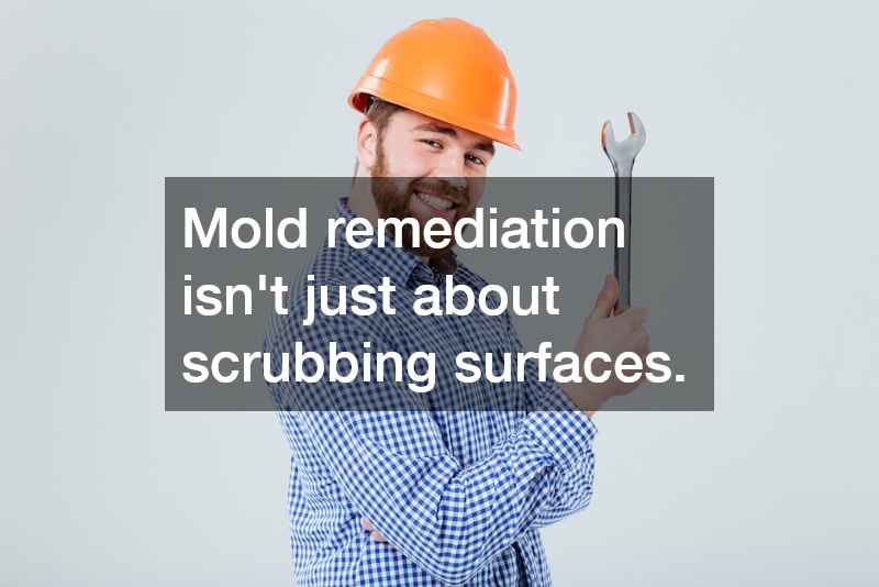 Mold remediation isn’t just about scrubbing surfaces.