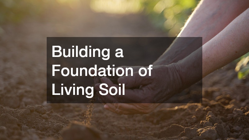 Building a Foundation of Living Soil