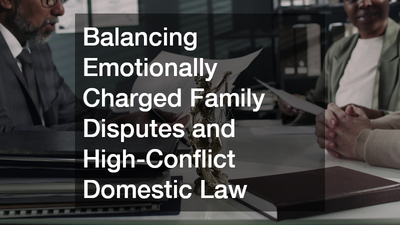 Balancing Emotionally Charged Family Disputes and High-Conflict Domestic Law
