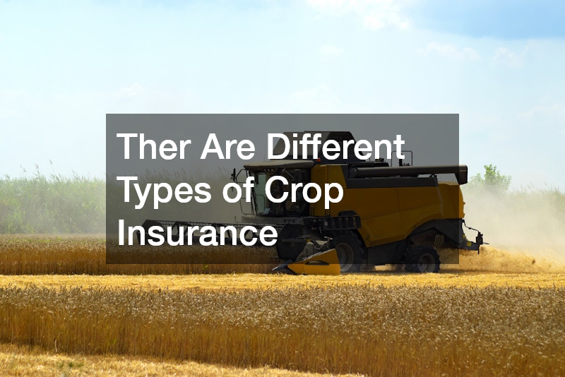 Ther Are Different Types of Crop Insurance