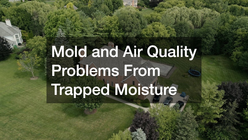 Mold and Air Quality Problems From Trapped Moisture