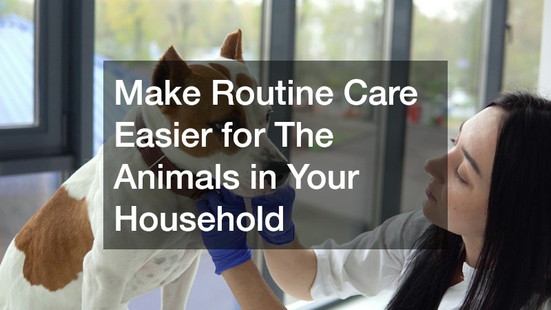 Make Routine Care Easier for The Animals in Your Household