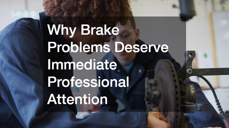 Why Brake Problems Deserve Immediate Professional Attention