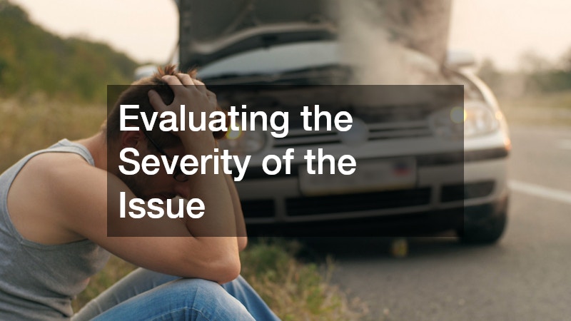 Evaluating the Severity of the Issue
