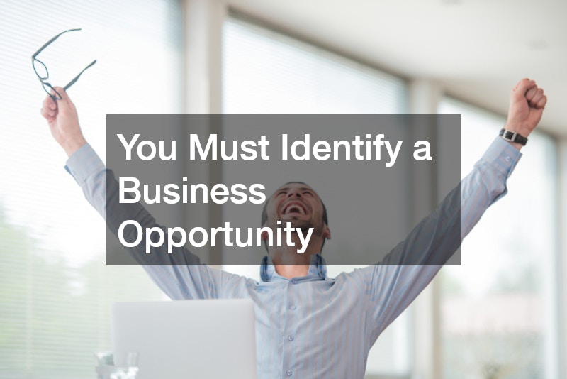 You Must Identify a Business Opportunity
