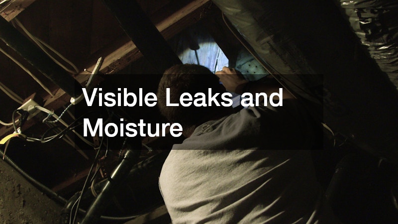 Visible Leaks and Moisture