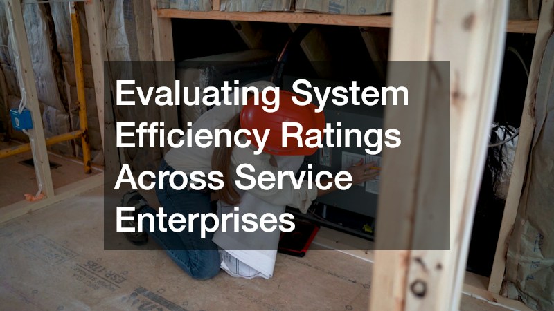 Evaluating System Efficiency Ratings Across Service Enterprises