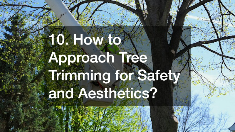 10. How to Approach Tree Trimming for Safety and Aesthetics?