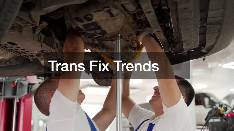 Trans Fix Trends