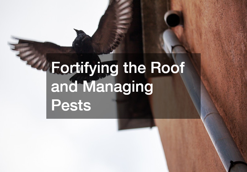 Fortifying the Roof and Managing Pests