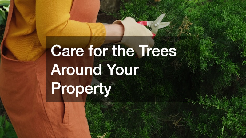Care for the Trees Around Your Property