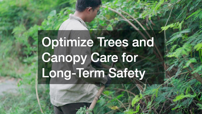 Optimize Trees and Canopy Care for Long-Term Safety